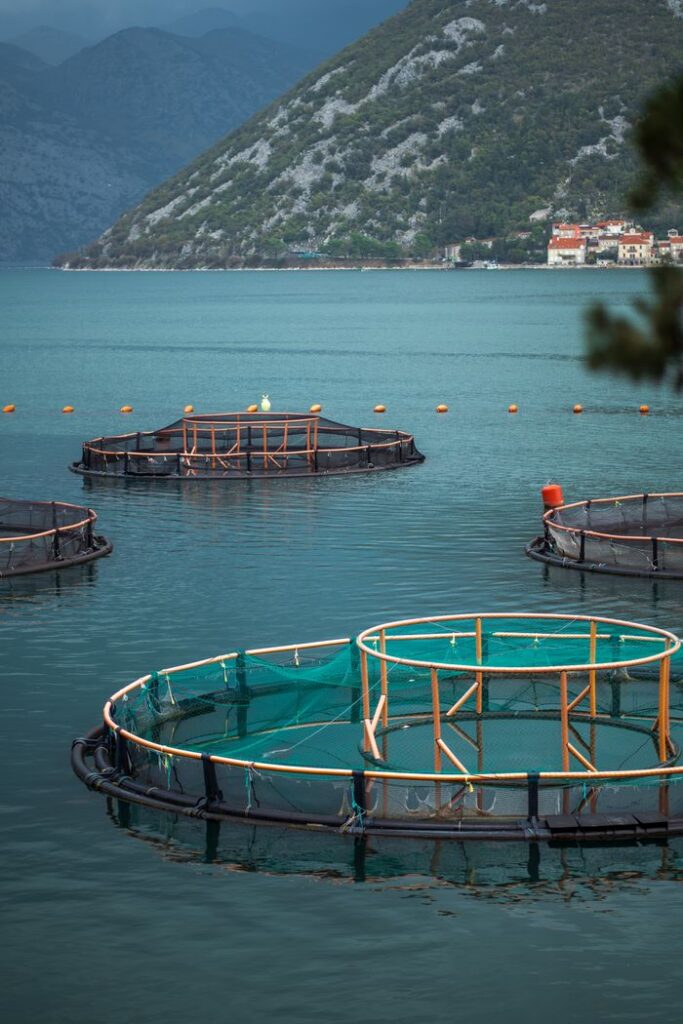 pexels photo 19145549 Circular fish farms on a tranquil lake with mountainous backdrop.